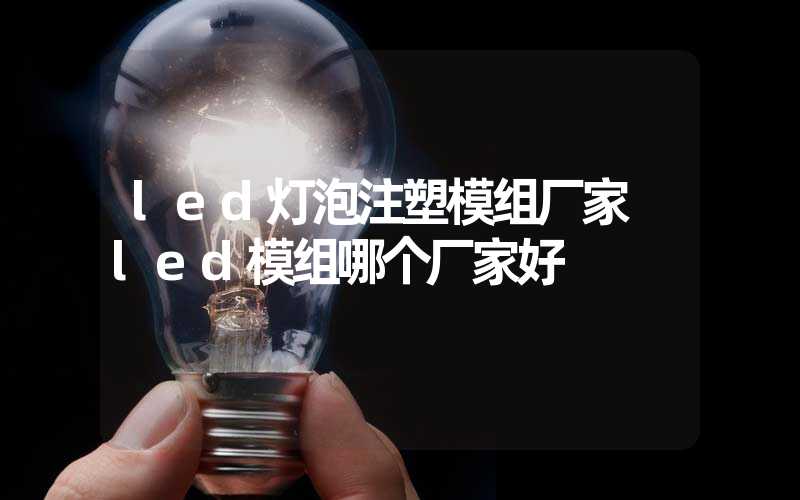 led灯泡注塑模组厂家 led模组哪个厂家好